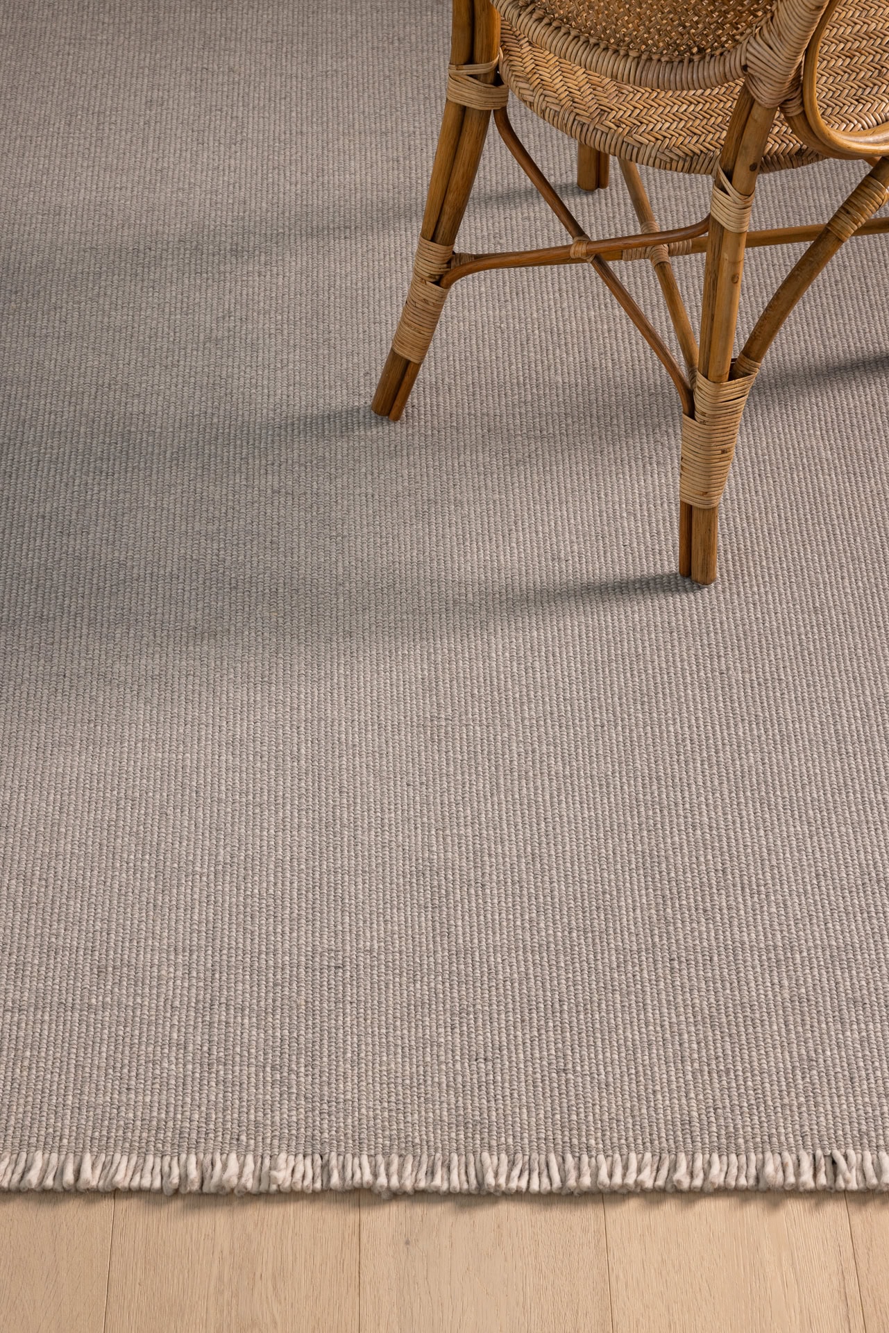 Derby | Bayliss Rugs
