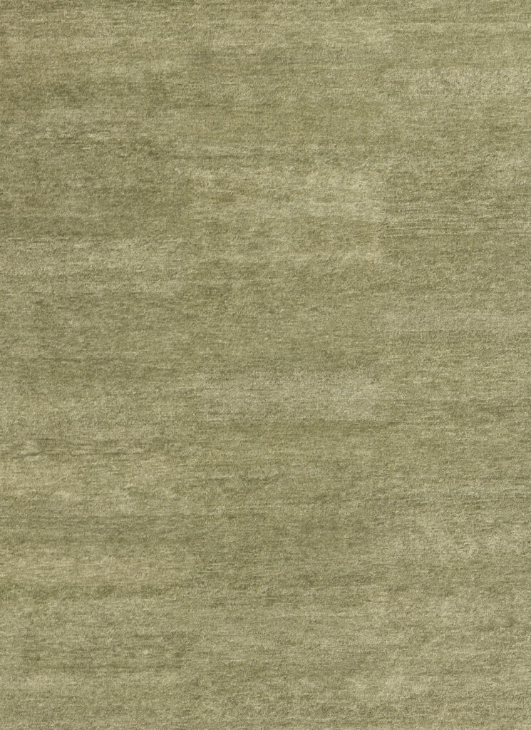 Bayliss Taylor Olive