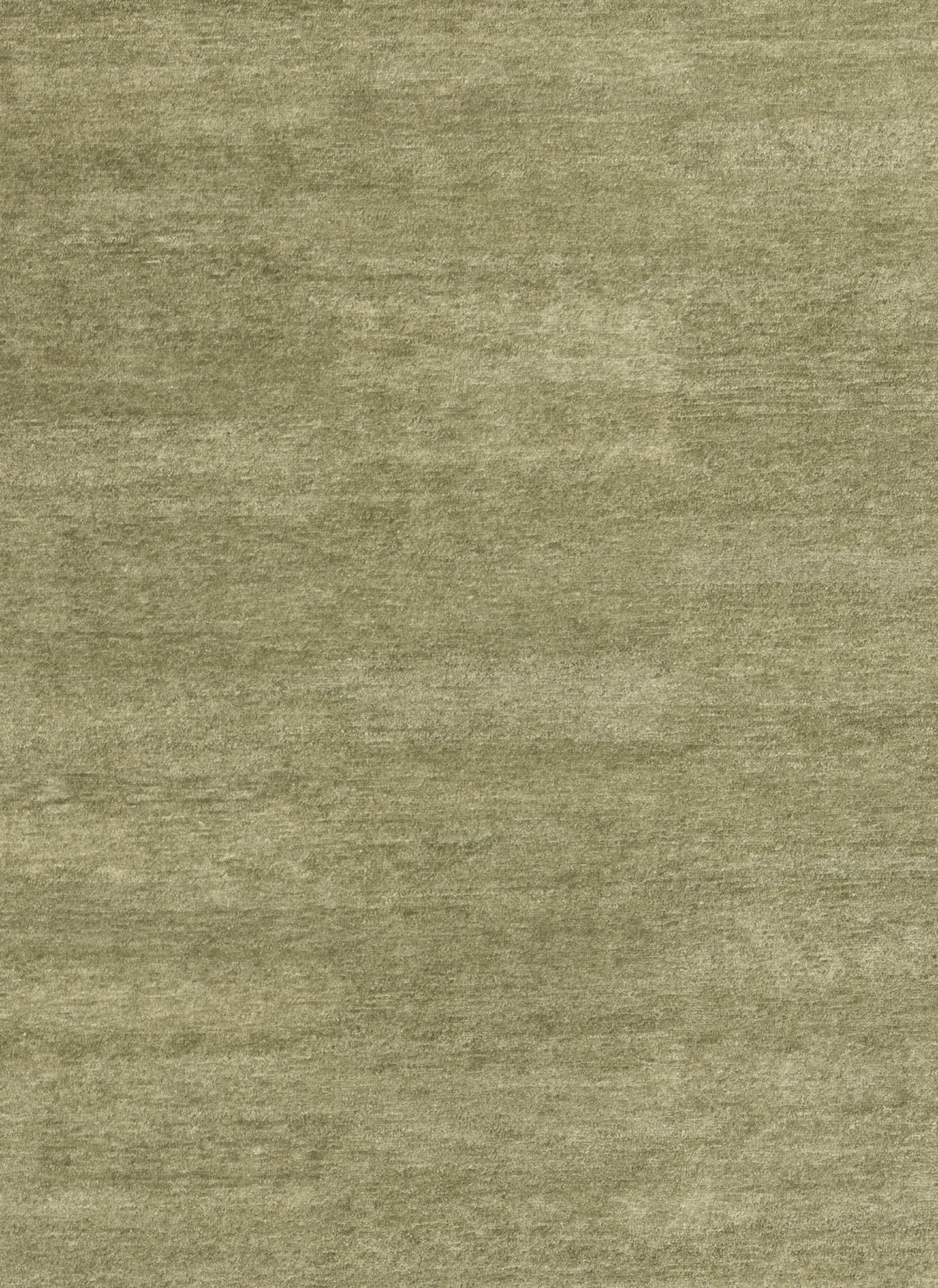 Bayliss Taylor Olive